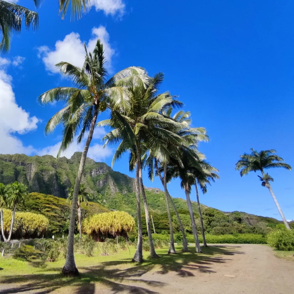 Oahu - havajský ostrov