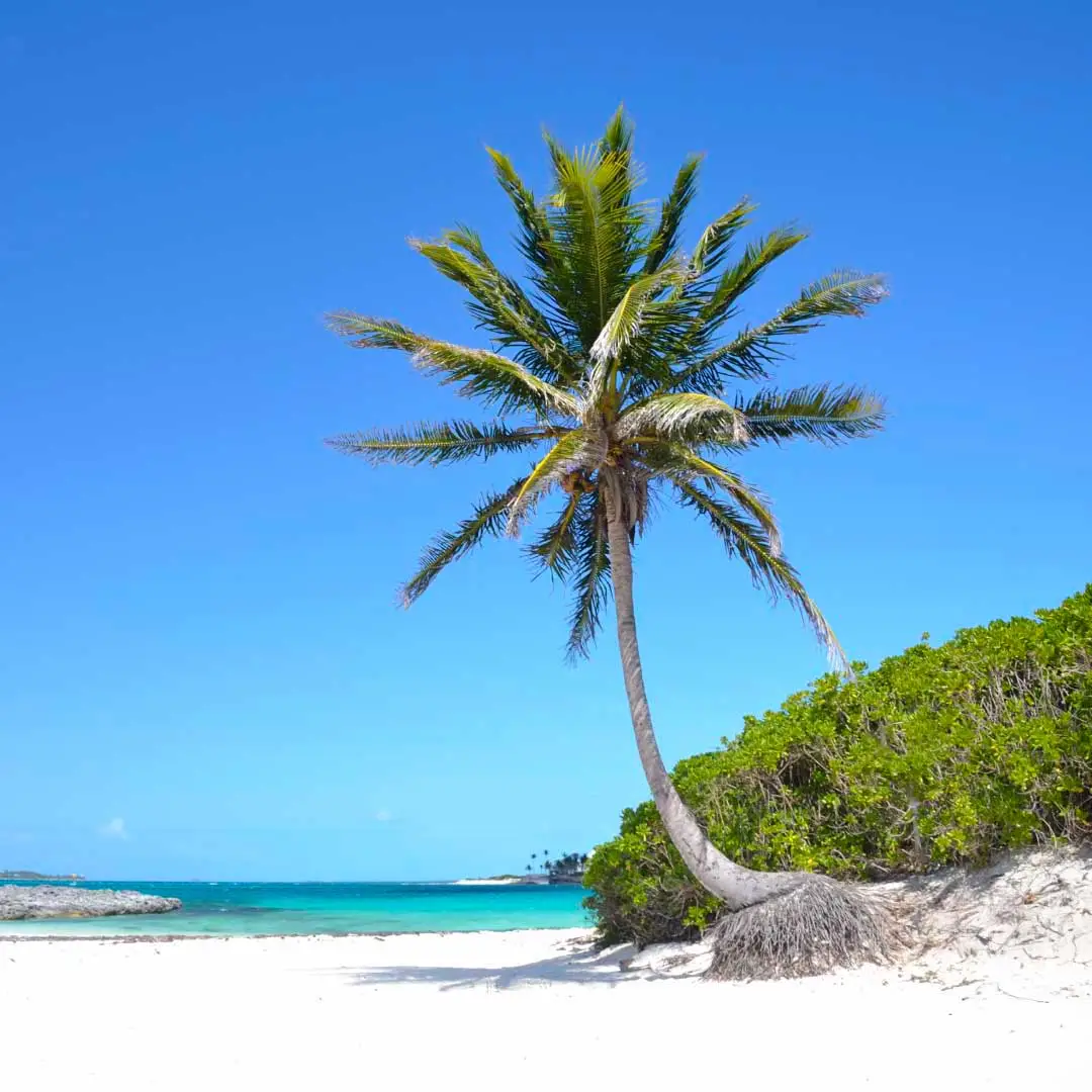 súkromná pláž - Paradise Island Bahamy