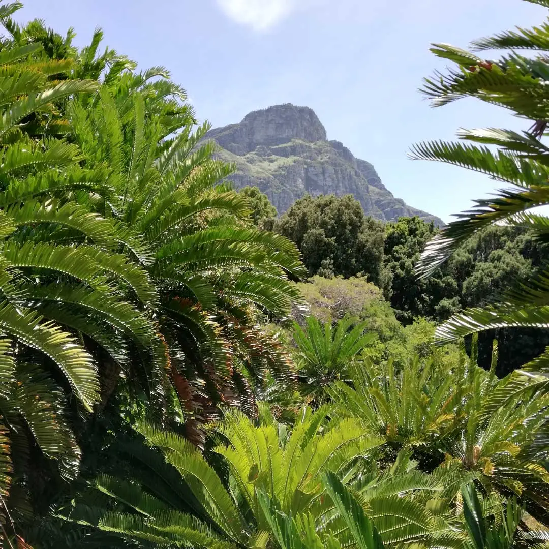 Národná botanická záhrada Kirstenbosch